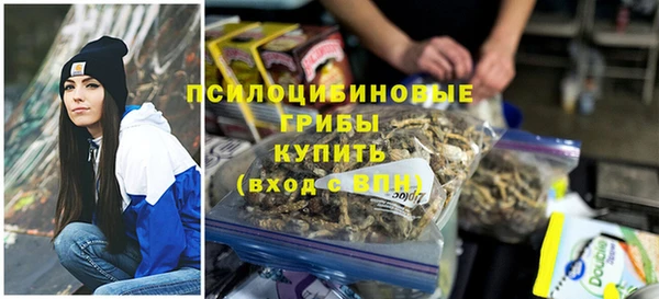прущие грибы Кострома