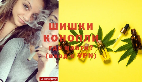 МДПВ Алексин