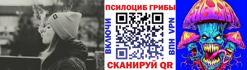 shop наркотические препараты  kraken tor  Псилоцибиновые грибы Cubensis  Богучар  сколько стоит 